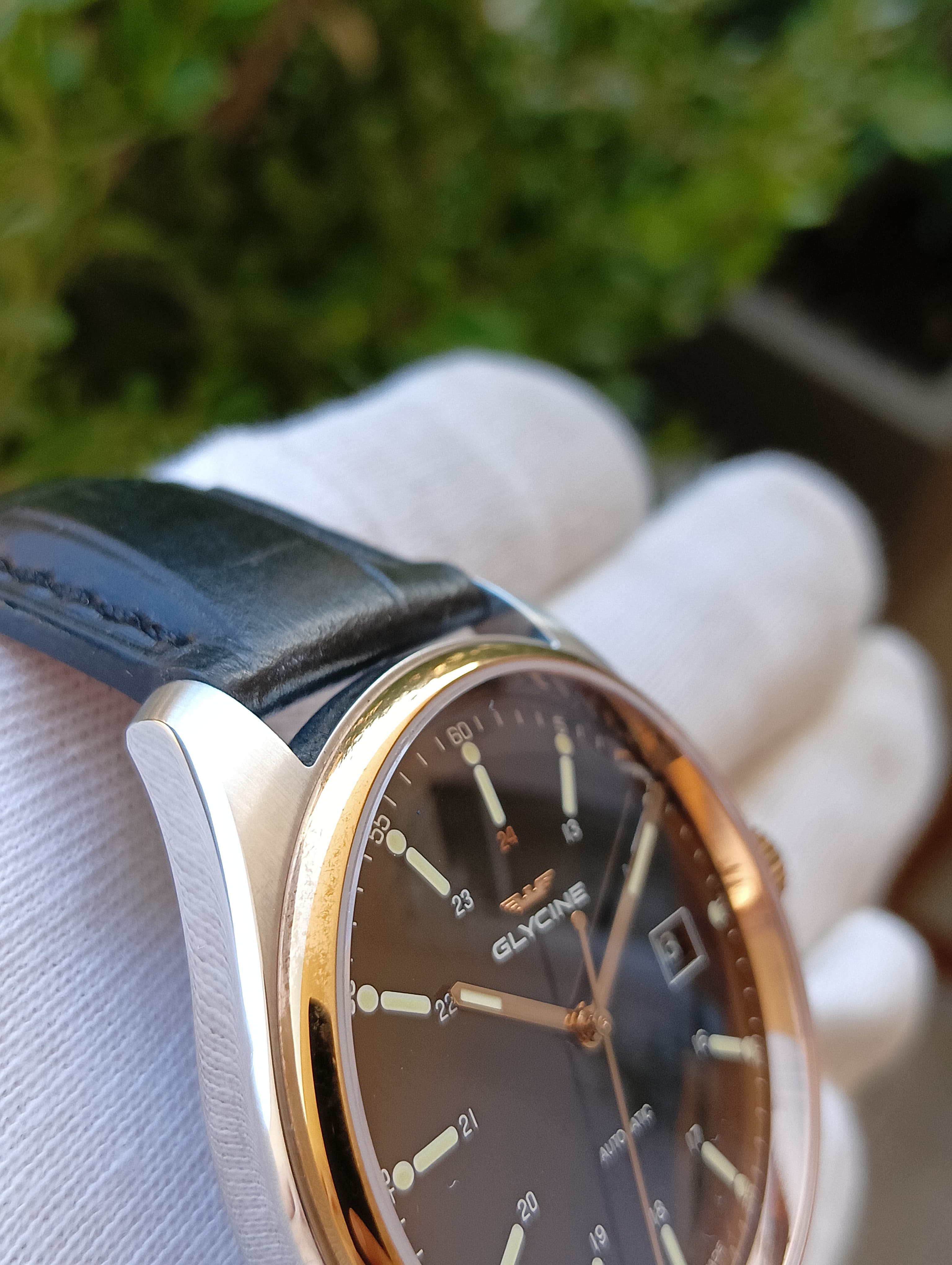 Glycine Combat 6 Classic