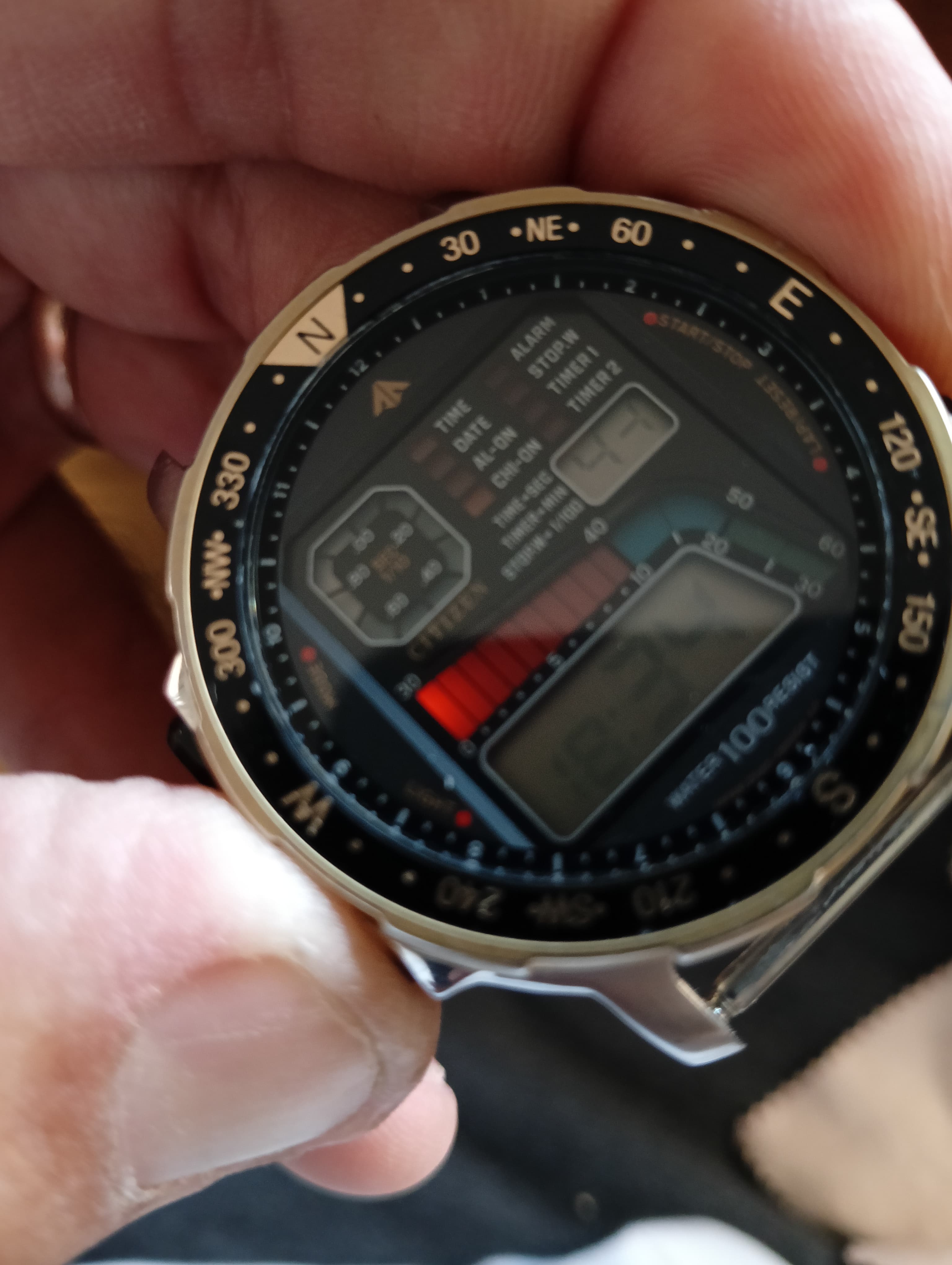 Citizen D060 Windsurfing Vintage '90