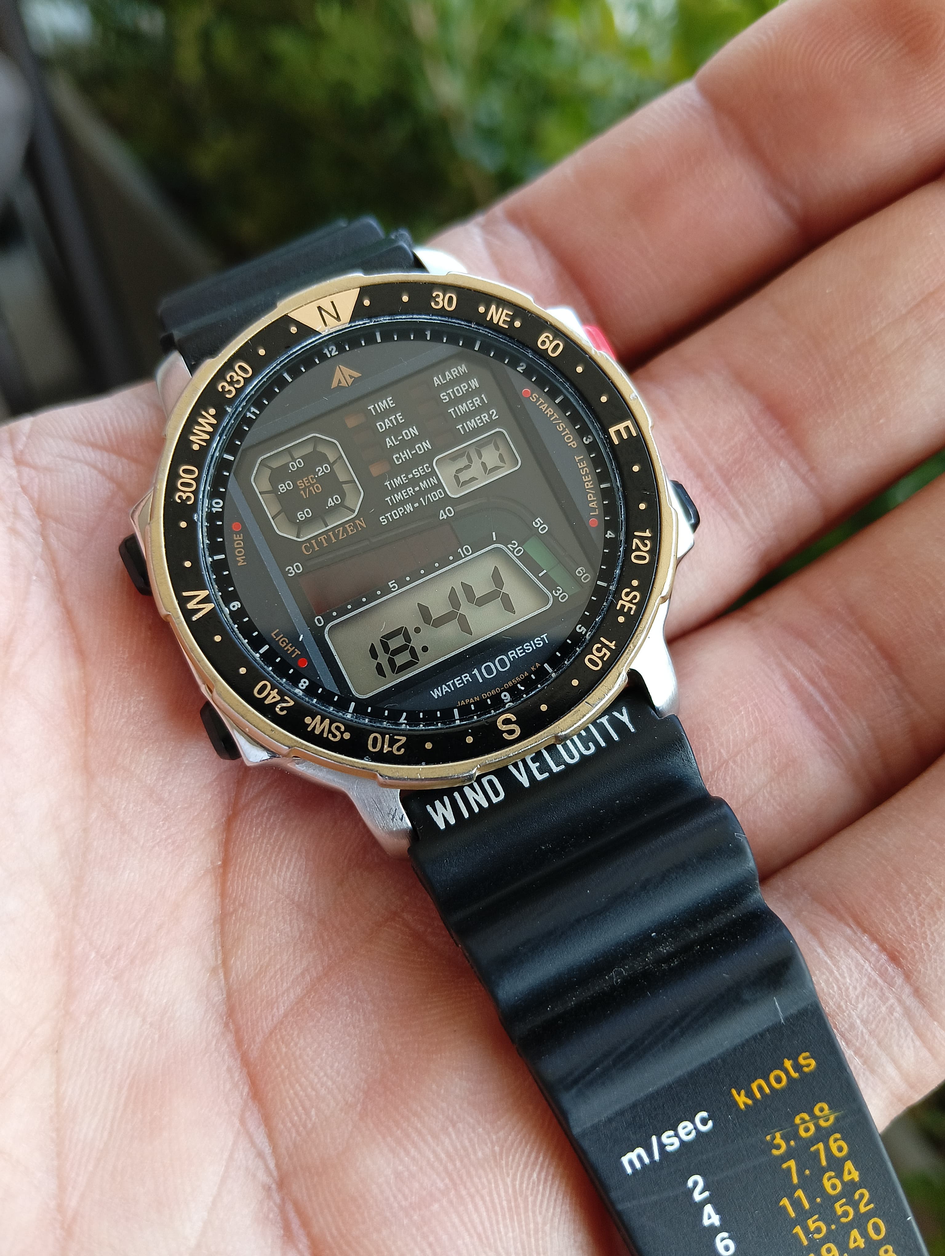 Citizen D060 Windsurfing Vintage '90