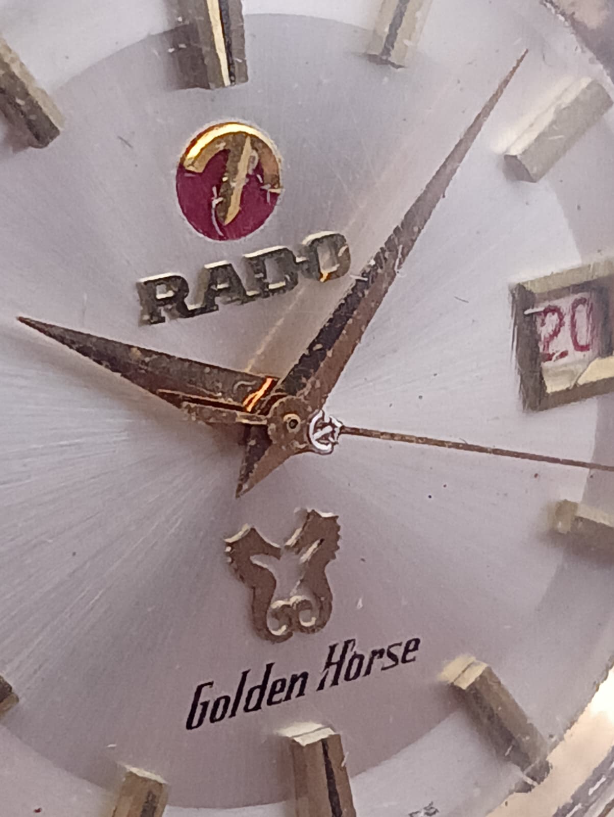 Rado Golden Horse 11675 - Vintage '70